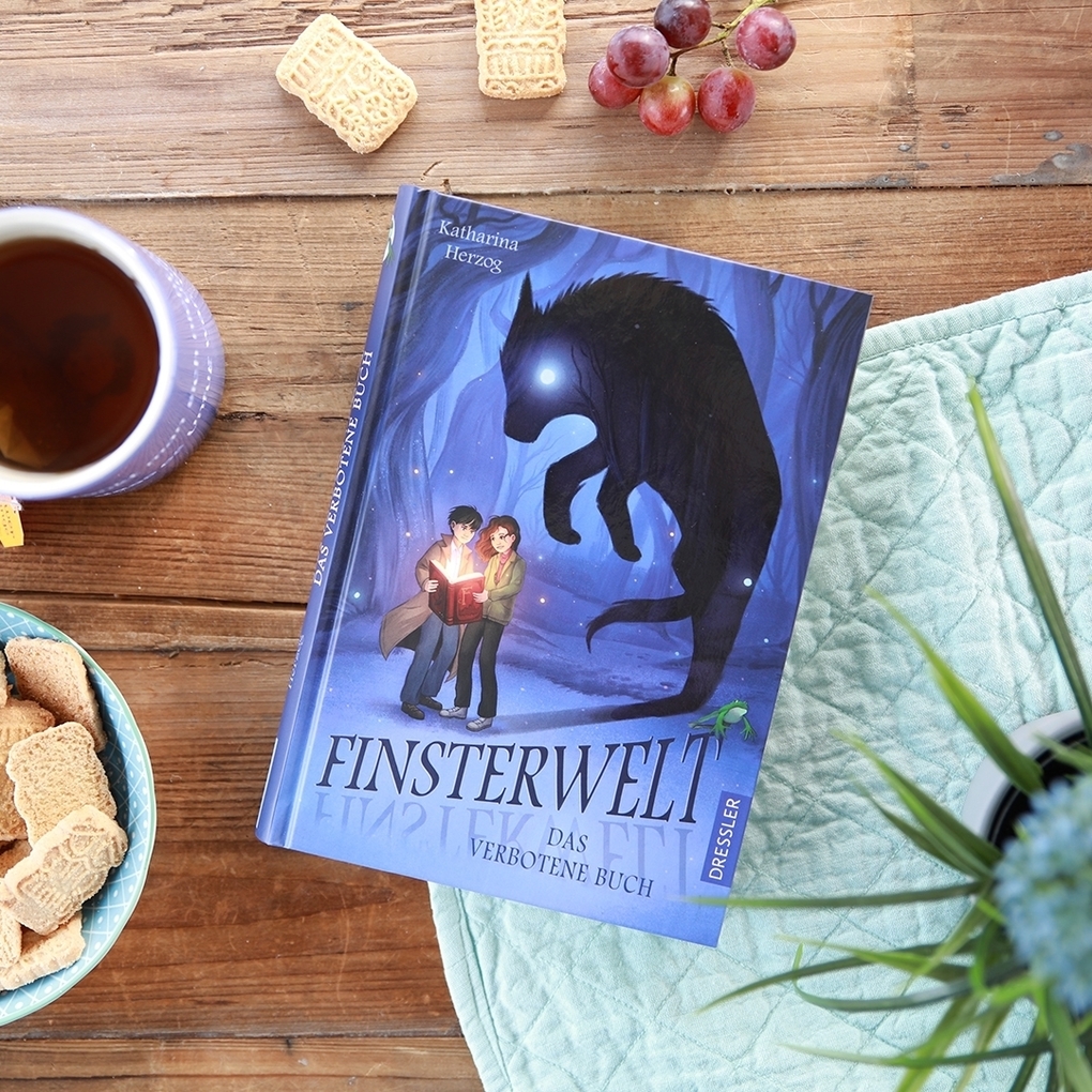 Weitere Ansicht: Finsterwelt 1. Das verbotene Buch | Katharina Herzog