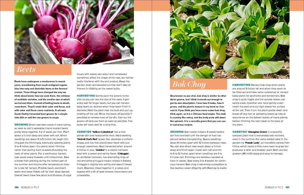 Weitere Ansicht: Grow Great Vegetables Illinois