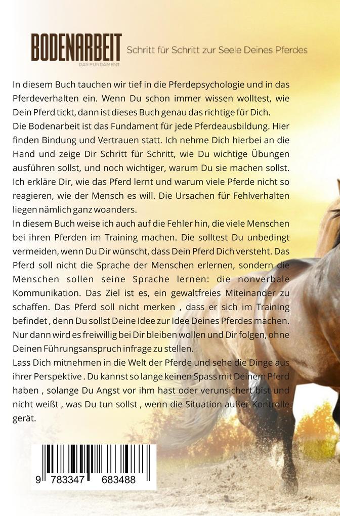 Weitere Ansicht: Bodenarbeit - Das Fundament | Sanja Panea