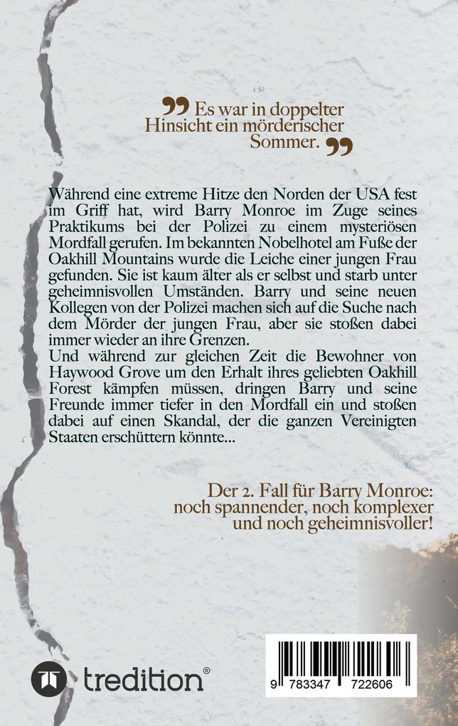 Weitere Ansicht: Sommersturm - Das Geheimnis von Haywood Grove: Der zweite Fall für Barry Monroe | Dominic Spinner