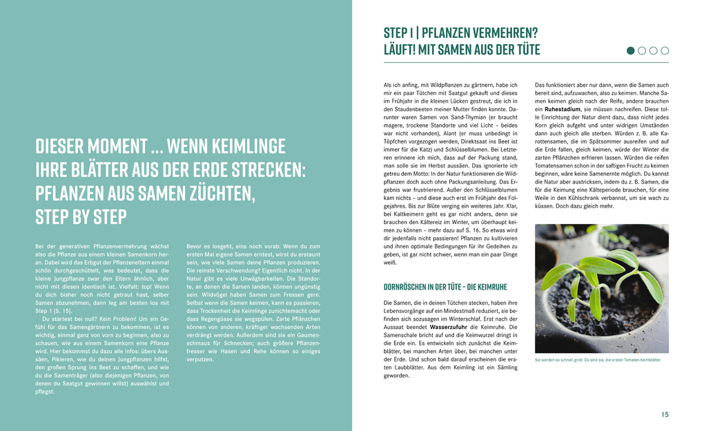 Weitere Ansicht: Pflanzen-Lovestory | Janet Glausch