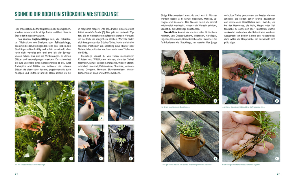 Weitere Ansicht: Pflanzen-Lovestory | Janet Glausch