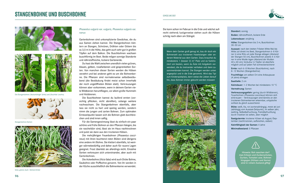 Weitere Ansicht: Pflanzen-Lovestory | Janet Glausch