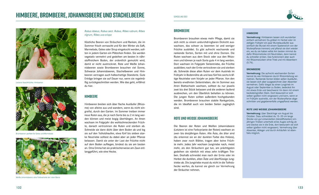 Weitere Ansicht: Pflanzen-Lovestory | Janet Glausch