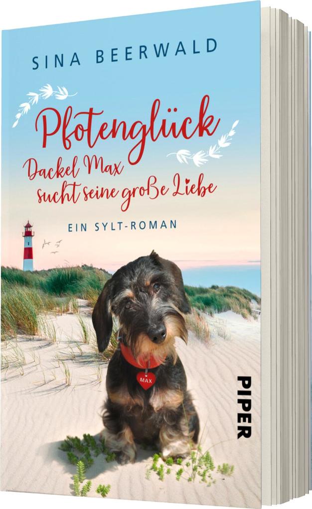 Weitere Ansicht: Pfotenglück - Dackel Max sucht seine große Liebe | Sina Beerwald
