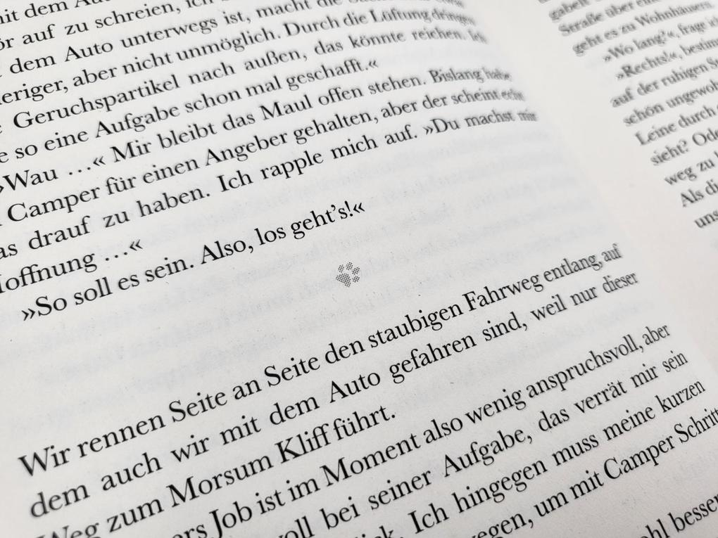 Weitere Ansicht: Pfotenglück - Dackel Max sucht seine große Liebe | Sina Beerwald