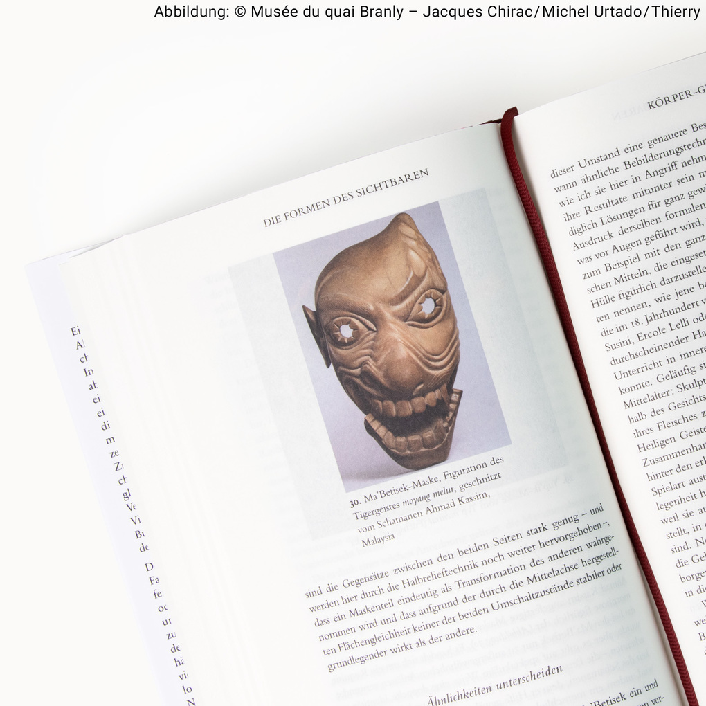 Weitere Ansicht: Die Formen des Sichtbaren | Philippe Descola