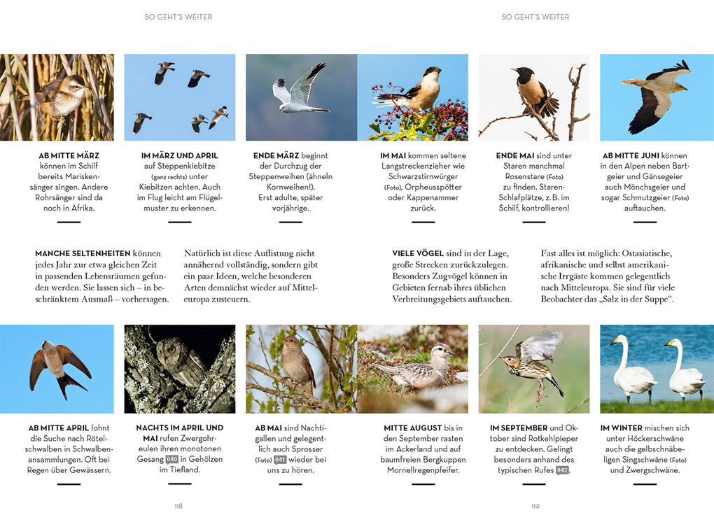 Weitere Ansicht: Vögel beobachten | Leander Khil