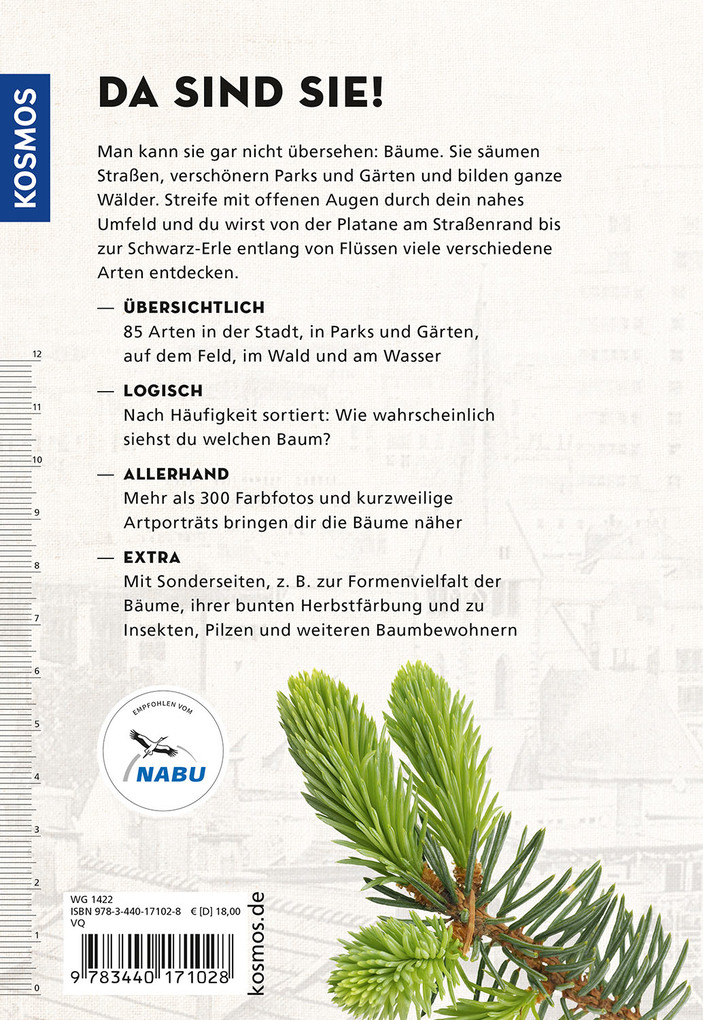 Weitere Ansicht: Die siehst du! Bäume | Margot Spohn