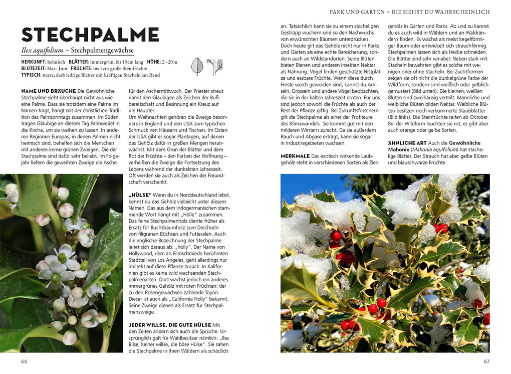 Weitere Ansicht: Die siehst du! Bäume | Margot Spohn