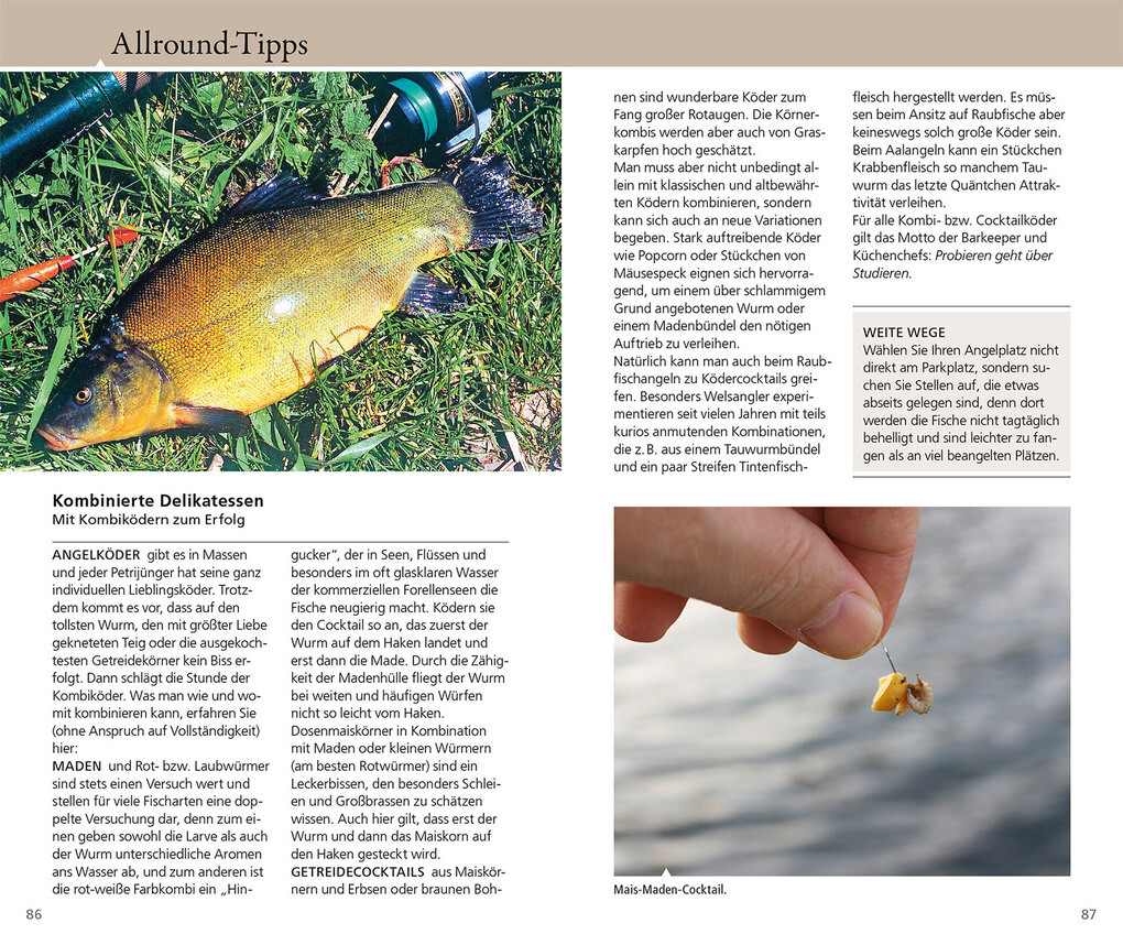 Weitere Ansicht: Die besten Tipps & Tricks für Angler | Markus Bötefür