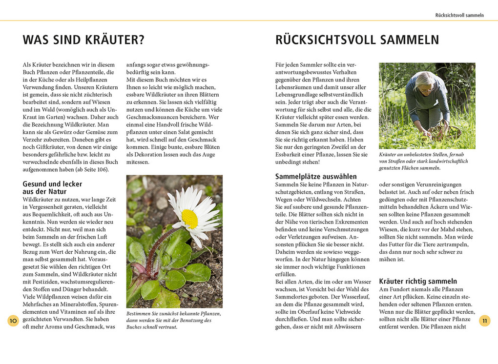 Weitere Ansicht: Wildkräuter am Blatt erkennen | Meike Bosch