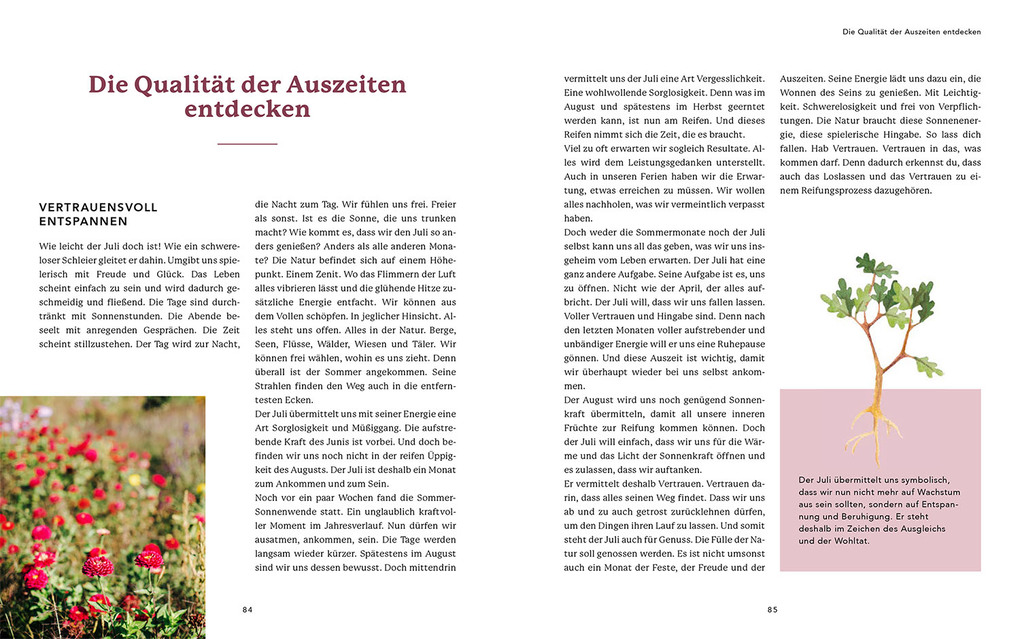 Weitere Ansicht: Naturrituale im Rhythmus des Jahres | Susana Garcia Ferreira