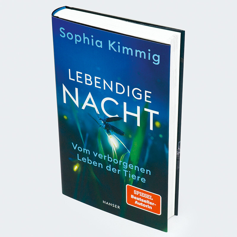 Weitere Ansicht: Lebendige Nacht | Sophia Kimmig
