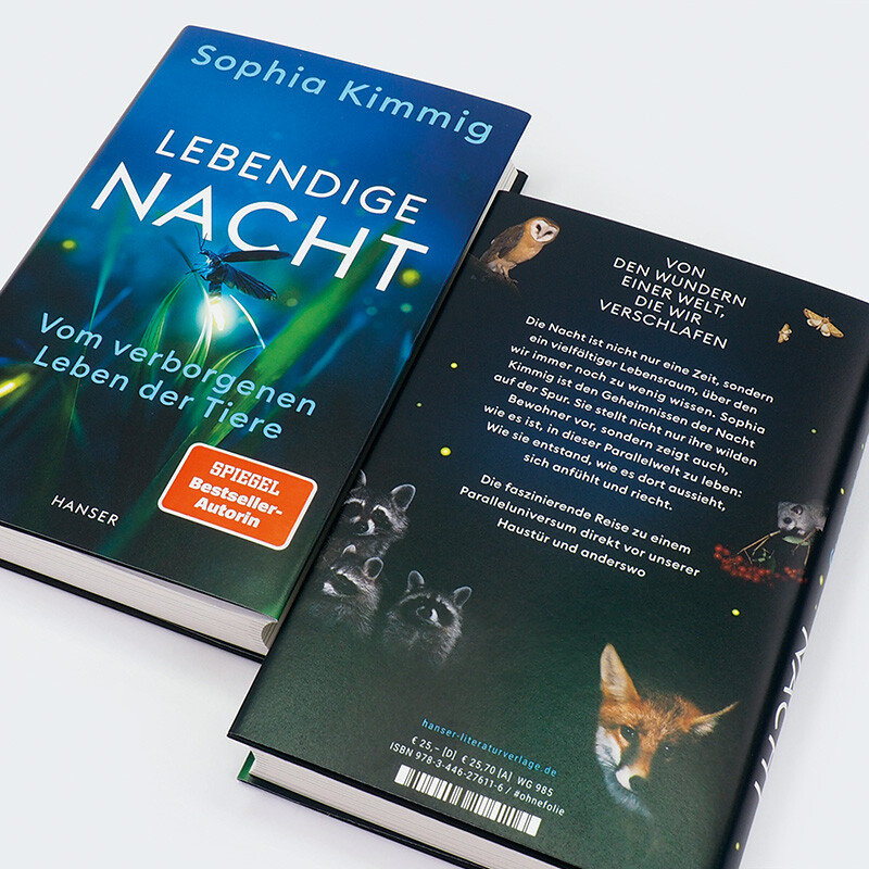 Weitere Ansicht: Lebendige Nacht | Sophia Kimmig