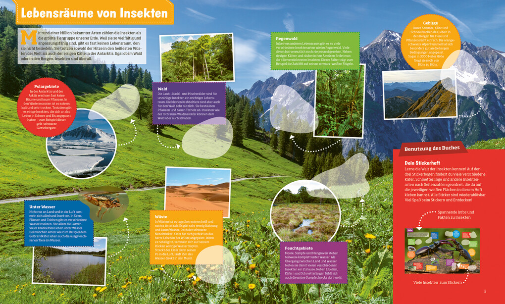 Weitere Ansicht: WAS IST WAS Stickerheft Insekten | Linda Thiele, Christina Braun