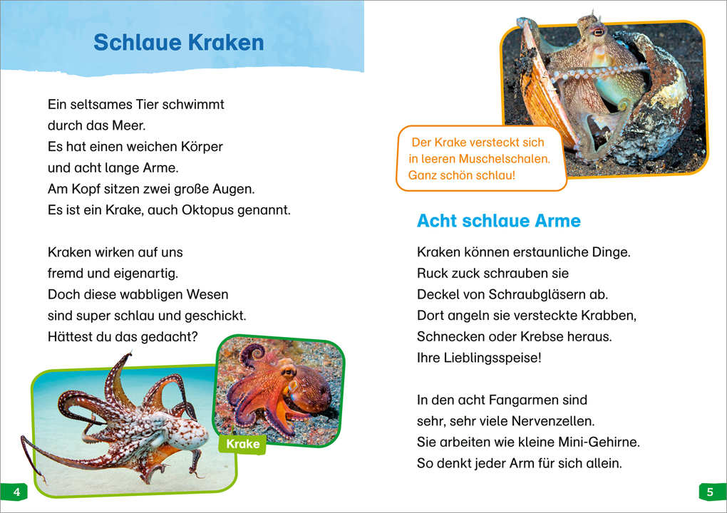 Weitere Ansicht: WAS IST WAS Erstes Lesen easy! Band 12. Echt schlaue Tiere | Sonja Meierjürgen