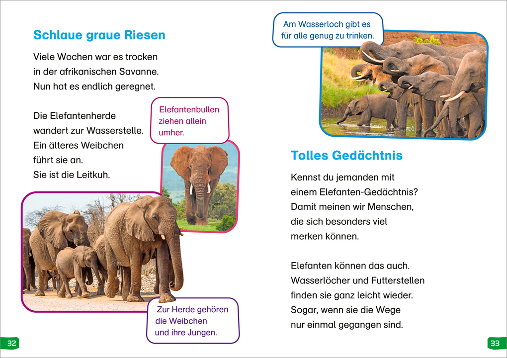 Weitere Ansicht: WAS IST WAS Erstes Lesen easy! Band 12. Echt schlaue Tiere | Sonja Meierjürgen