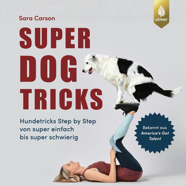 Produktbild: Super Dog Tricks | Sara Carson