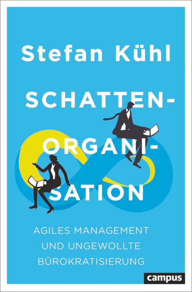 Produktbild: Schattenorganisation | Stefan Kühl
