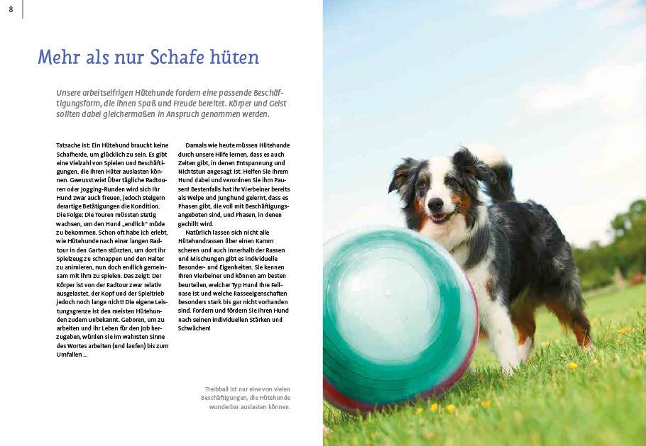 Weitere Ansicht: Spiele und Action für ausgeglichene Hütehunde | Marion Albers