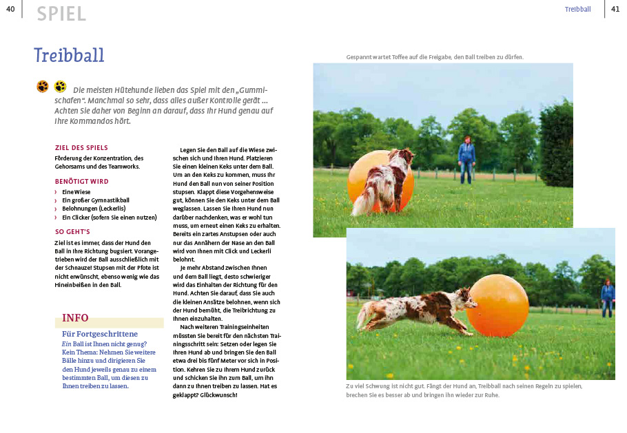 Weitere Ansicht: Spiele und Action für ausgeglichene Hütehunde | Marion Albers