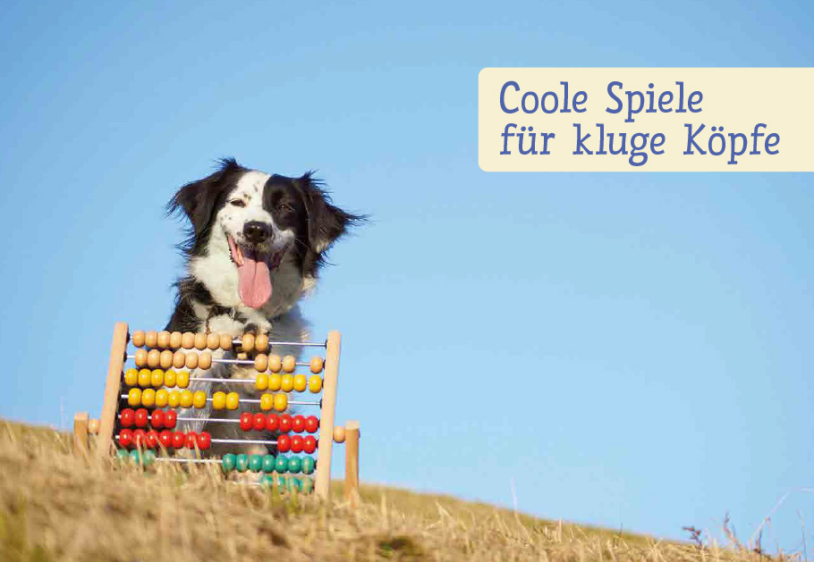 Weitere Ansicht: Spiele und Action für ausgeglichene Hütehunde | Marion Albers