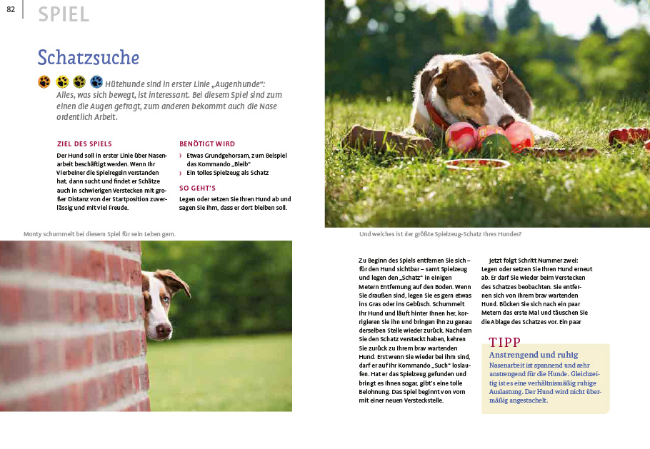 Weitere Ansicht: Spiele und Action für ausgeglichene Hütehunde | Marion Albers