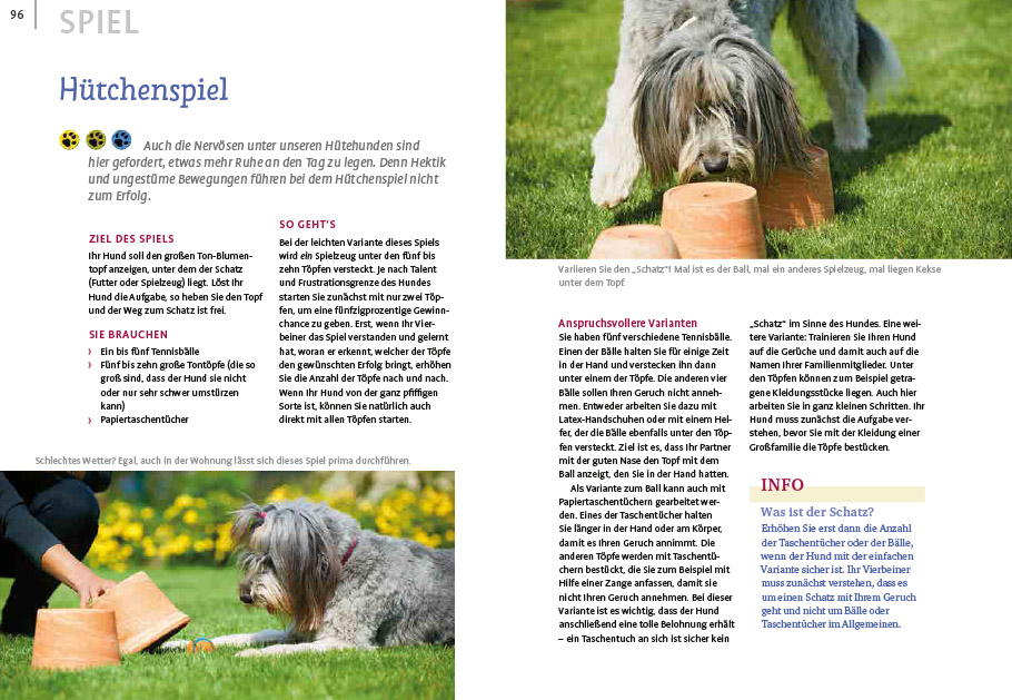 Weitere Ansicht: Spiele und Action für ausgeglichene Hütehunde | Marion Albers