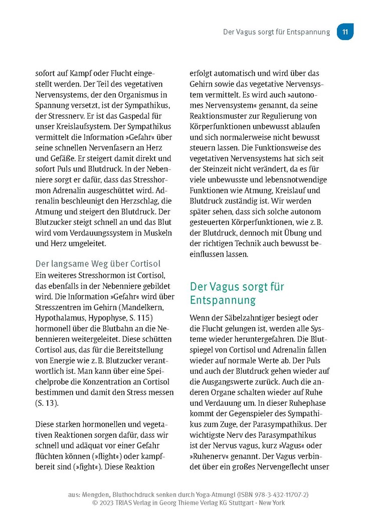 Weitere Ansicht: Bluthochdruck senken durch Yoga-Atmung | Thomas Mengden