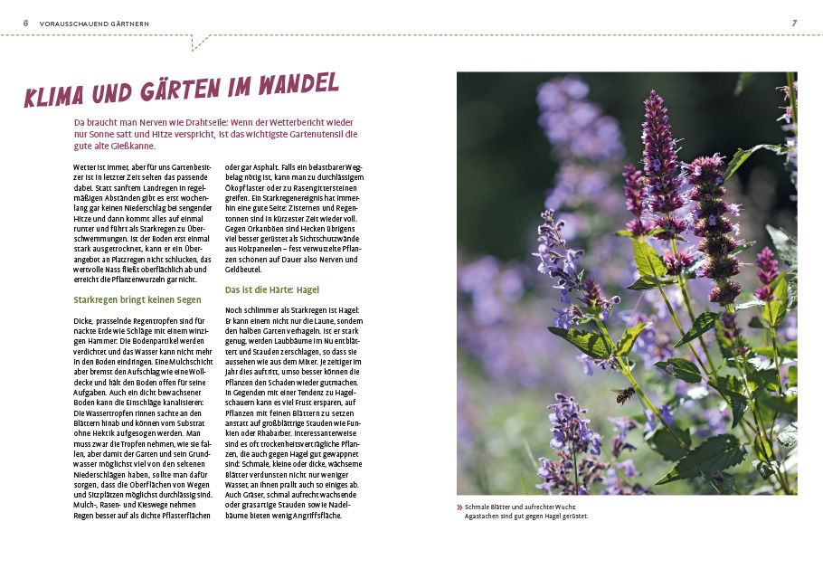 Weitere Ansicht: Superpflanzen | Elke Schwarzer