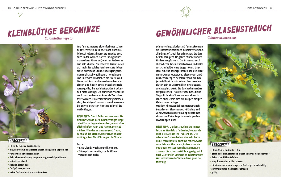 Weitere Ansicht: Superpflanzen | Elke Schwarzer