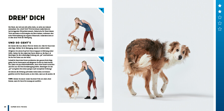 Weitere Ansicht: Super Dog Tricks | Sara Carson