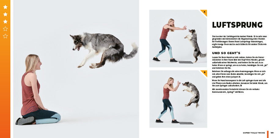 Weitere Ansicht: Super Dog Tricks | Sara Carson