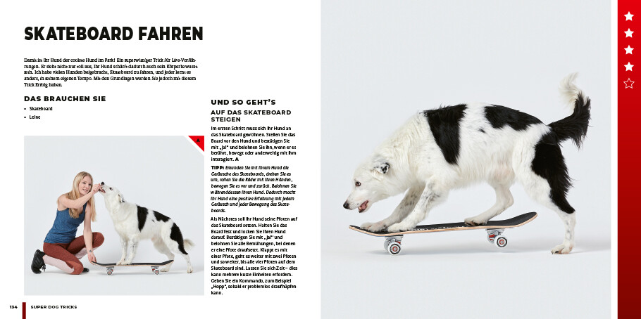 Weitere Ansicht: Super Dog Tricks | Sara Carson