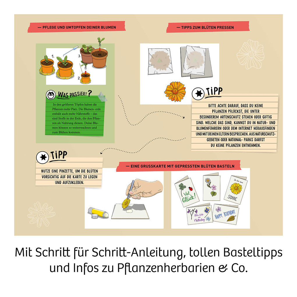 Weitere Ansicht: Blüten-Presse