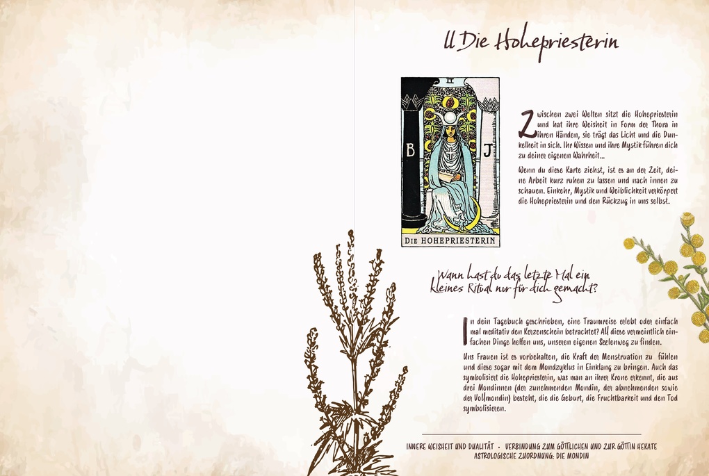 Weitere Ansicht: Tarot & Grüne Magie | Chiara Butendeich