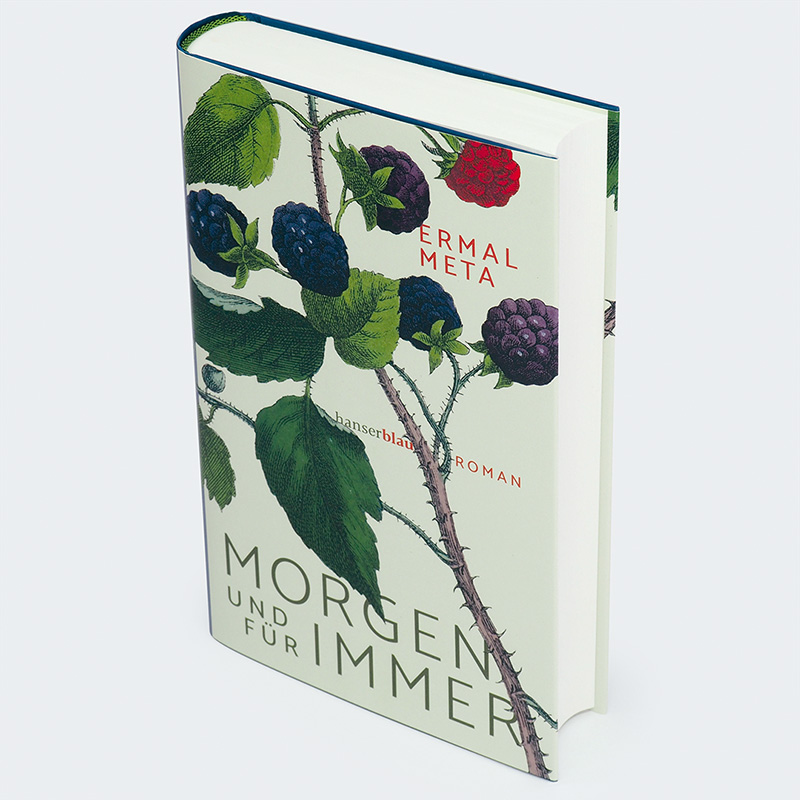 Weitere Ansicht: Morgen und für immer | Ermal Meta