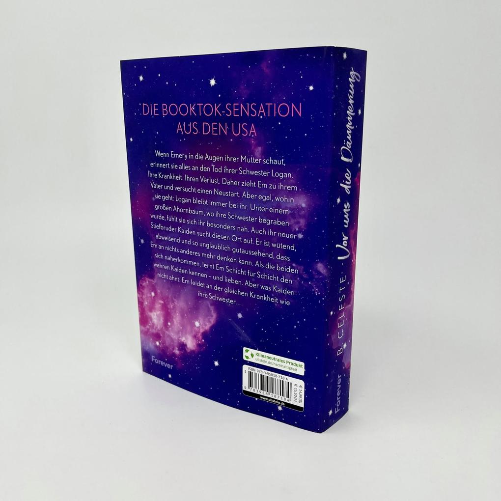 Weitere Ansicht: Vor uns die Dämmerung | B. Celeste