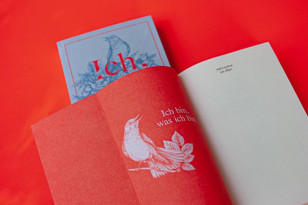 Weitere Ansicht: Ich, Ellyn | Nell Leyshon