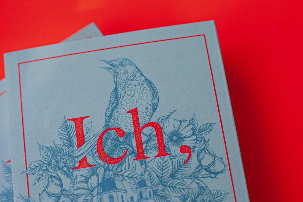 Weitere Ansicht: Ich, Ellyn | Nell Leyshon