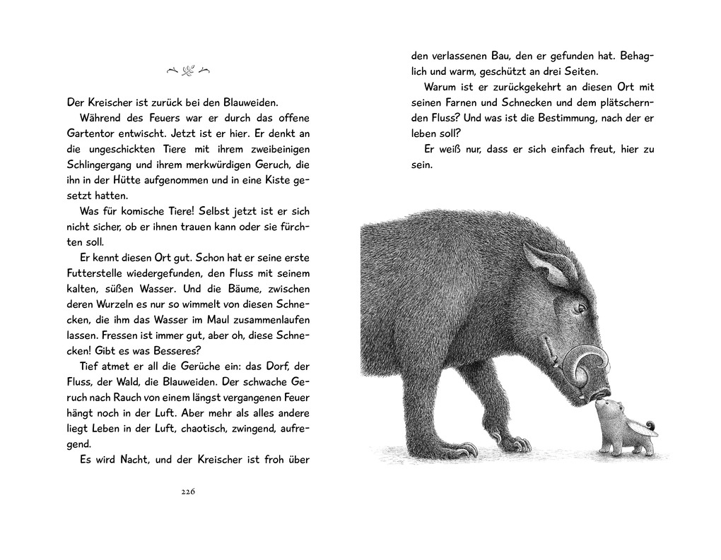 Weitere Ansicht: Willodeen - Das Mädchen und der Wald der verschwundenen Tiere | Katherine Applegate