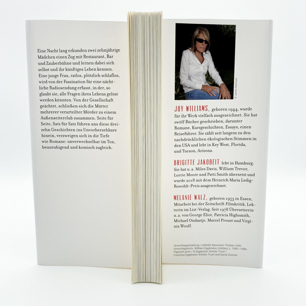Weitere Ansicht: Stories | Joy Williams