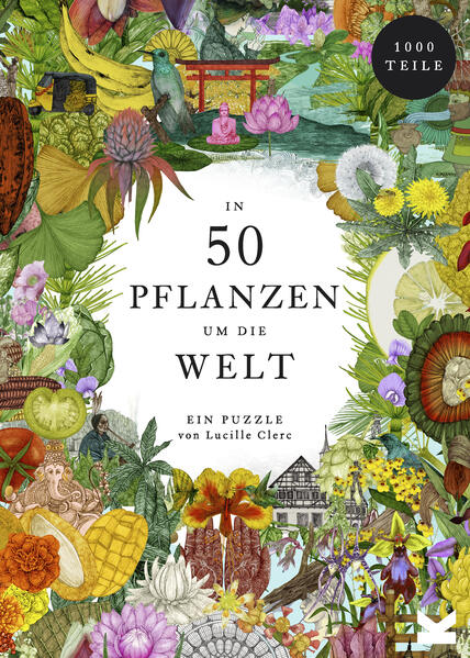 Produktbild: In 50 Pflanzen um die Welt | Jonathan Drori