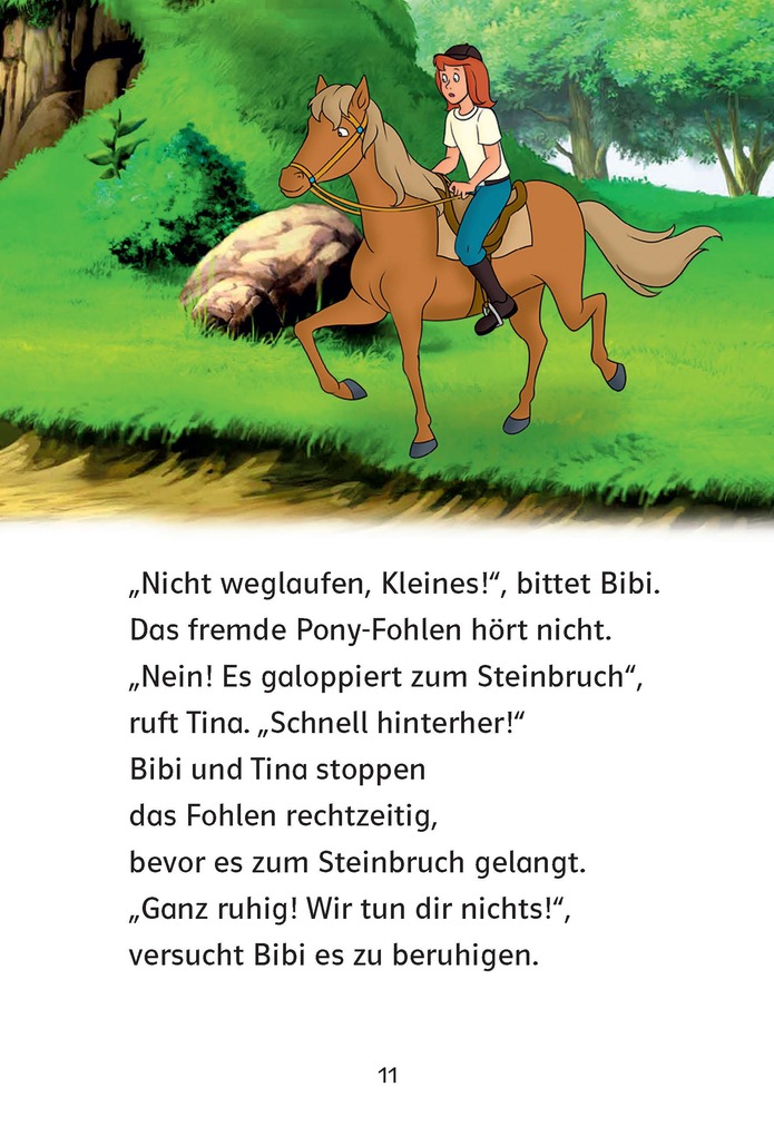Weitere Ansicht: Bibi & Tina: Fohlen vermisst!