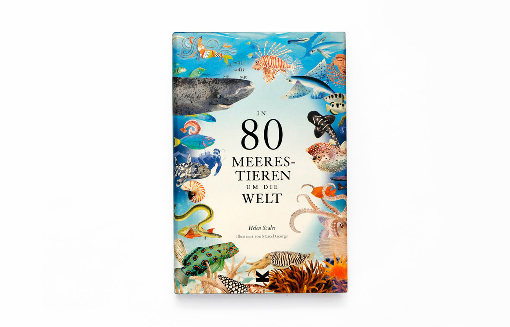 Weitere Ansicht: In 80 Meerestieren um die Welt | Helen Scales
