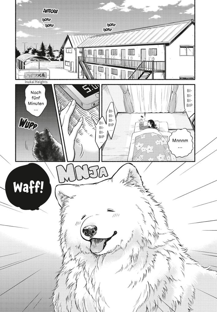 Weitere Ansicht: One Room Dog 1 | Sirokuma Shota