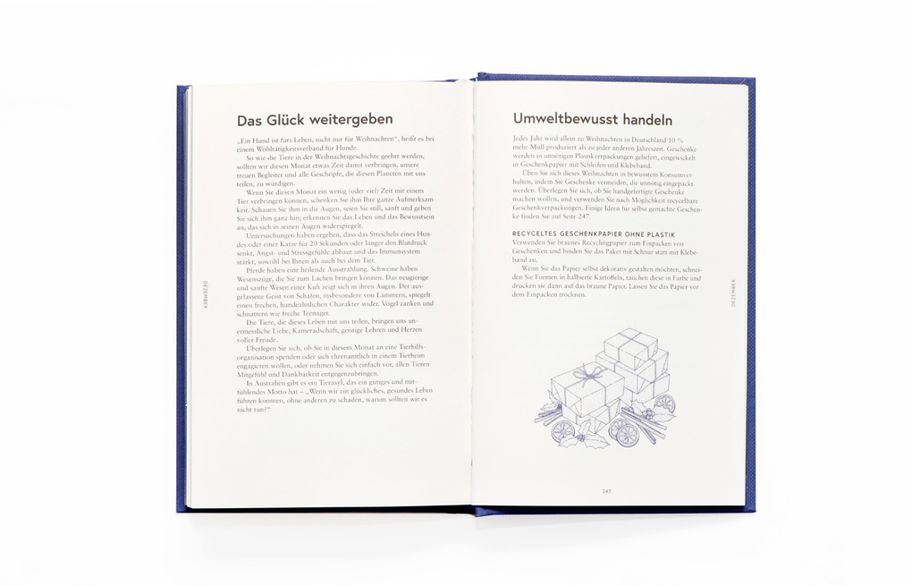 Weitere Ansicht: Mein spiritueller Almanach | Joey Hulin