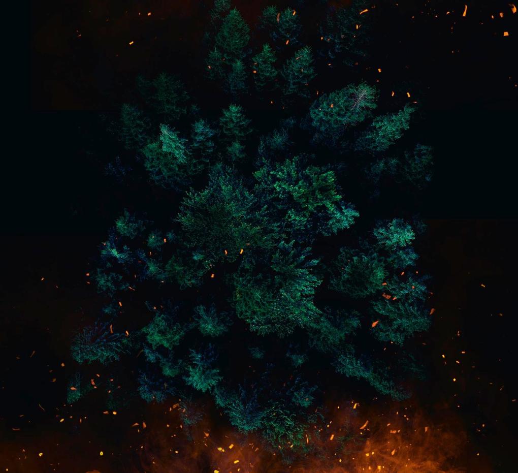 Weitere Ansicht: We Will Give You Hell | Lina Frisch