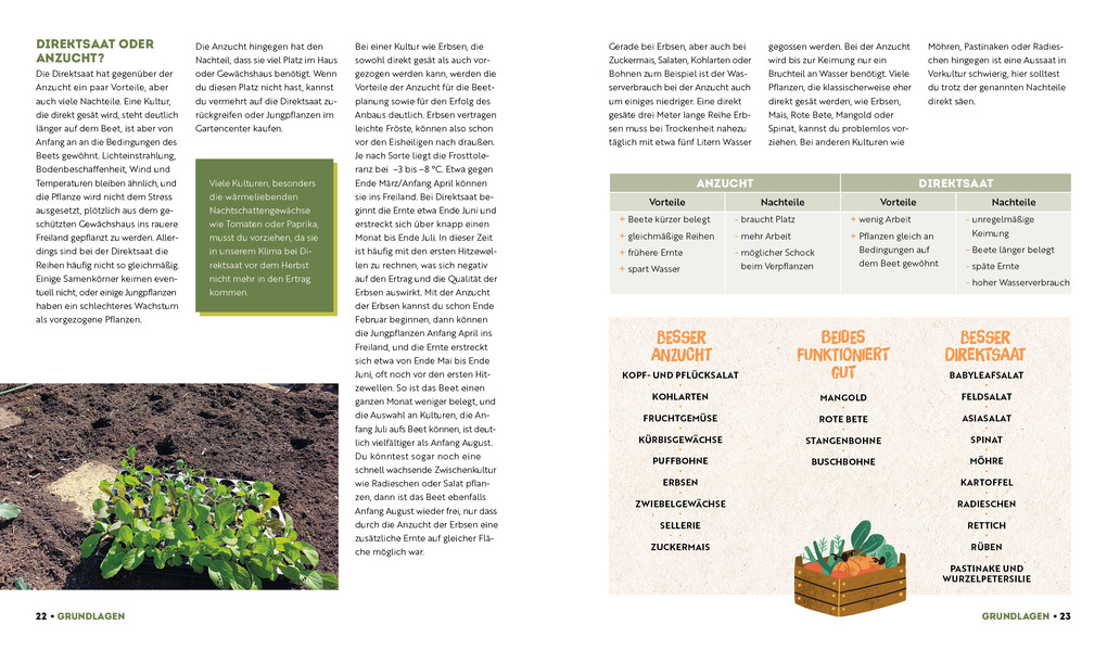 Weitere Ansicht: Ernte mehr als du denkst | Niko Becker